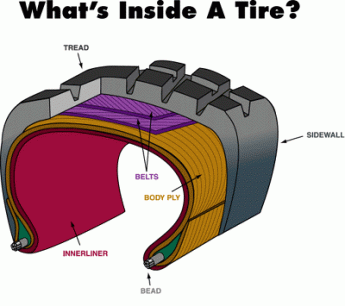 Tire Anatomy